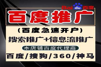 SEM竞价实战技巧，案例讲解与应用